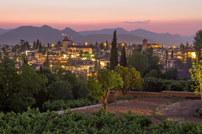 Albaicin and Sacromonte Private Tour - How the art historian guide affects what you get out of the evening