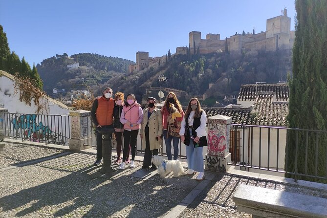 Albaicin guided tour with dogs - Why this Albaicín tour works so well with dogs