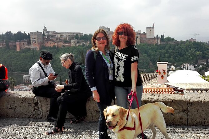 Albaicin guided tour with dogs - The route: from Plaza Nueva uphill to Puerta Elvira