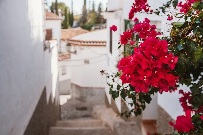 Albaicín & Sacromonte Walking Tour - How the 2.5 Hours Actually Feel on the Ground