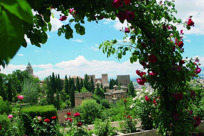 Alhambra and Generalife Skip-the-Line Ticket with Guide - Meet your guide: why names matter for how the tour feels