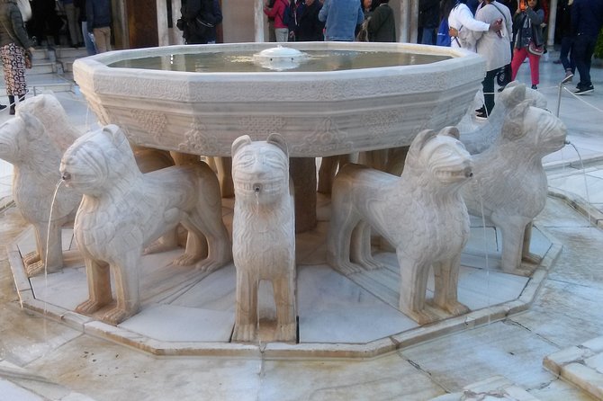 Alhambra and Granada City Center sightseeing tour! - Morning or afternoon: picking the start time to match your energy