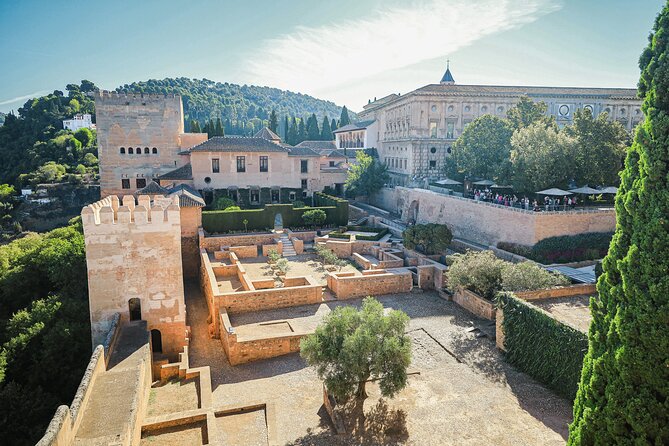 Alhambra and Nasrid Palaces: Skip-the-line Ticket and Local Guide - Key things that make this tour work