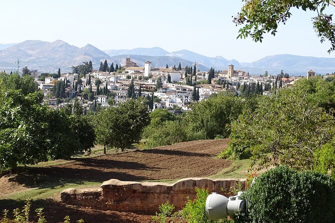 Alhambra and Nasrid Private Walking Tour with Food Tasting - Restaurante Jardines Alberto: closing with Nasrid flavors in a Carmen setting