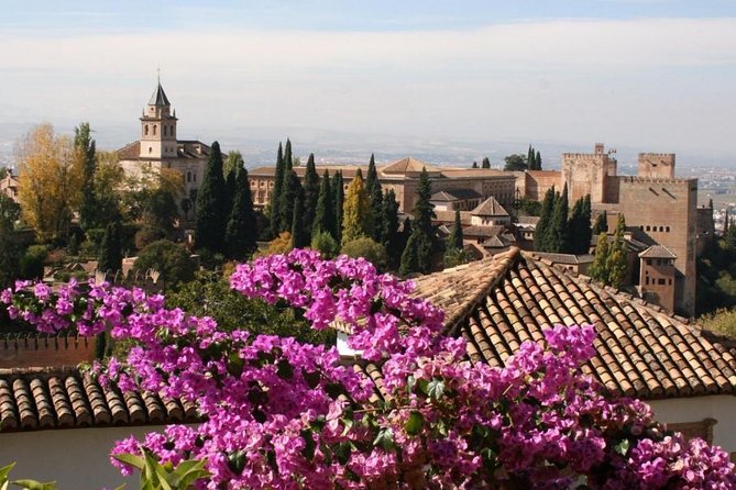 Alhambra &Charles Palace Guided Tour with Optional Nasrid Palaces - Transfers, language mix, and how to handle the guide-phone chaos that can happen