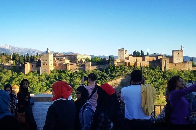 Alhambra &Charles Palace Guided Tour with Optional Nasrid Palaces - Tour options that change everything: Nasrid Palaces vs Alhambra surroundings