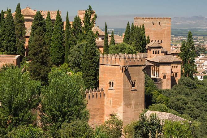 Alhambra & Generalife: Exclusive 3-Hour Private Tour with Tickets Included - Patio de los Leones: where architecture and water do the talking