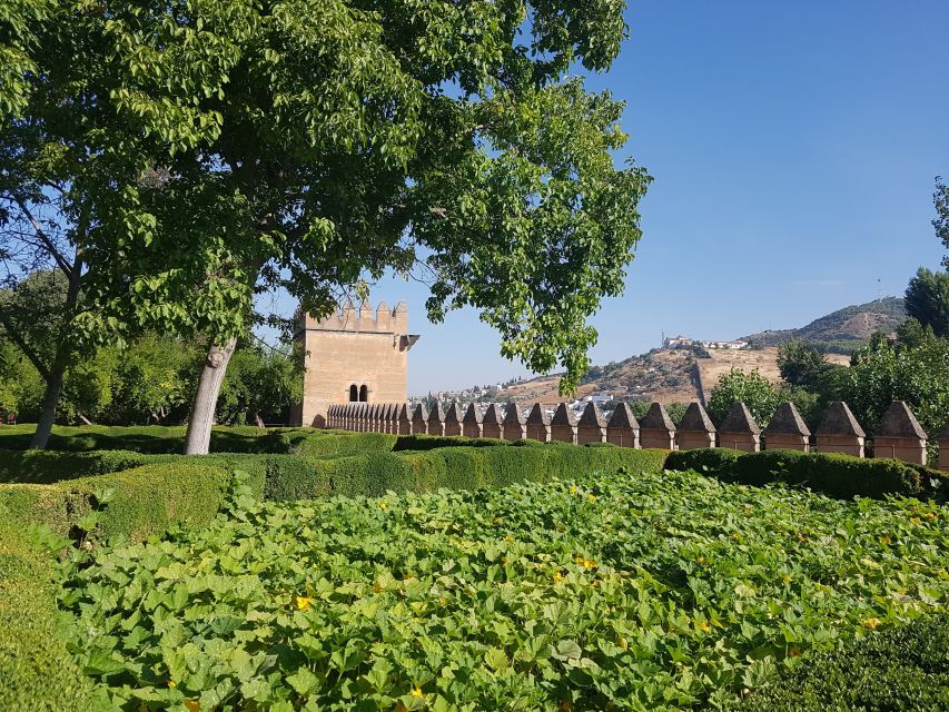 Alhambra: Generalife Gardens & Alcazaba Fast-Track Tour - Alcazaba fortress: defensive walls with the best views over Granada