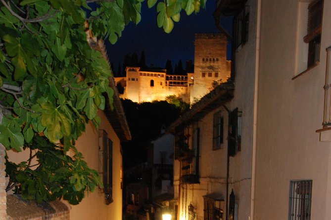 Alhambra: Night Visit to Nasrid Palaces - Stop 2: Nasrid Palaces, the real show, plus audio at your pace