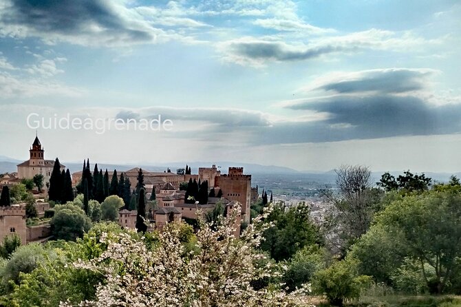 Alhambra Private Tour: Nasrid Palaces and Generalife - Where to meet: the Generalife ticket office square (and how to spot it)