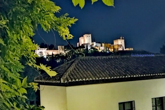 Alhambra Private Tour: Nasrid Palaces and Generalife - Nasrid Palaces: where a great guide changes the whole experience