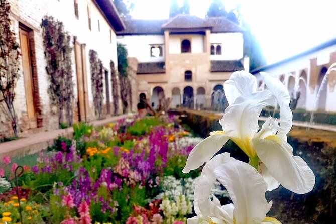 Alhambra Private Tour with Tickets to the Nasrid Palaces - Price and value: what $234.31 is buying you