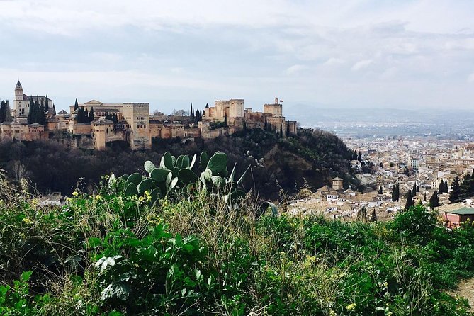 Alhambra private tour (without tickets) total/group Max 15 people - The Nasrid City-Palace: Palaces, Symbol Meaning, and Water Courtyards