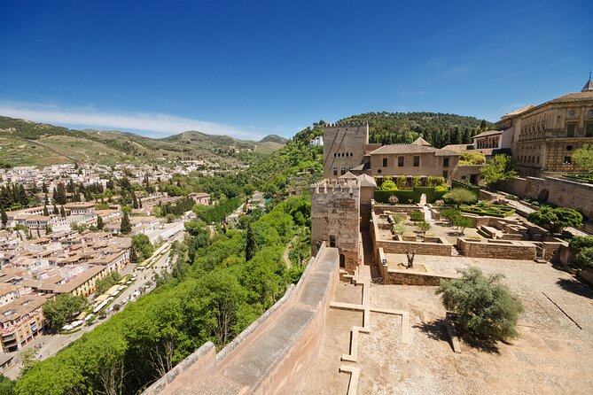 Alhambra Ticket and Guided Tour with Nasrid Palaces - Pricing and value: what $59.13 buys you here