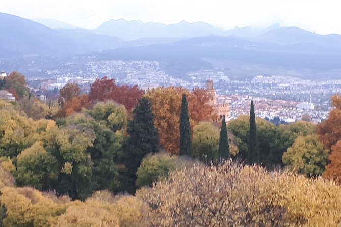 Alhambra Tour :Generalife Gardens ,Palaces and towers.Skiptheline - A 3-hour Alhambra loop that hits the Palace complex hard