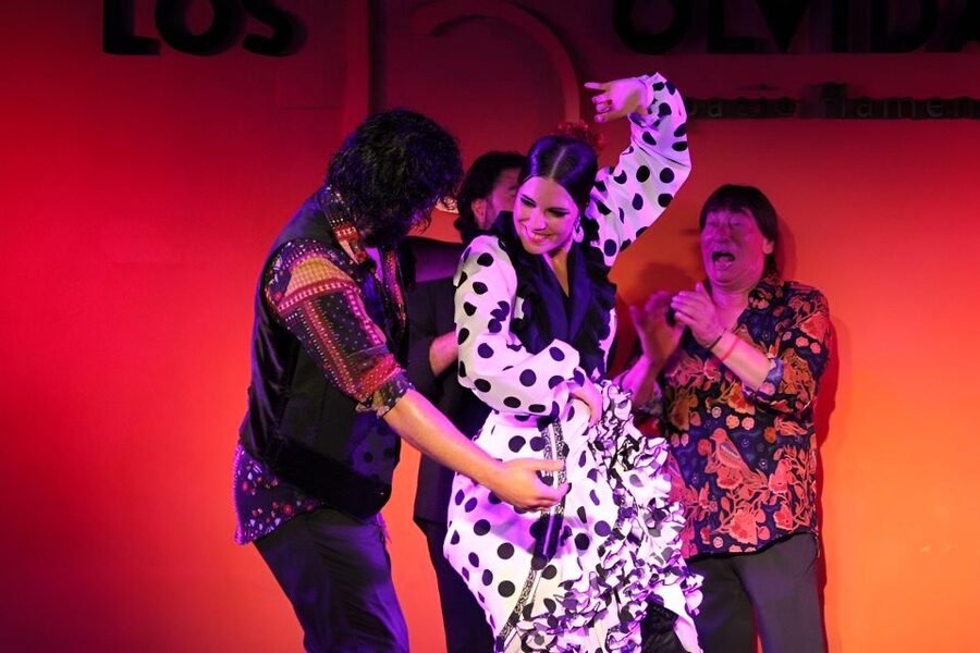 Authentic Flamenco Show & Tapas Tour in Granada - The Flamenco Show in the Lower Albaicin Palace: What to Watch for in One Hour