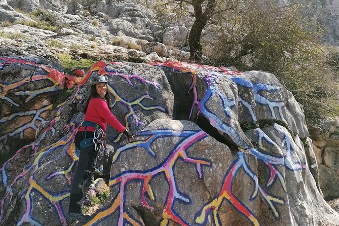 Climbing the John Hogbin Via Ferrata with Lunch - Why the John Hogbin via ferrata feels like a half-day adventure movie