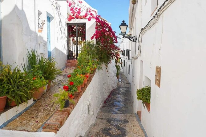 Coasts and Mountains: Nerja to Frigiliana with Nerja Caves Small-Group Day Trip - Cueva de Nerja: the cave stop that anchors the whole day