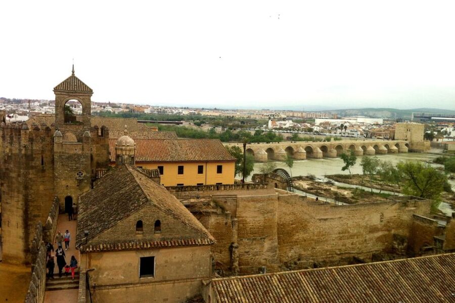 Cordoba Highlights Full-Day Tour from Granada - Who should book this Córdoba Highlights tour (and who might not)