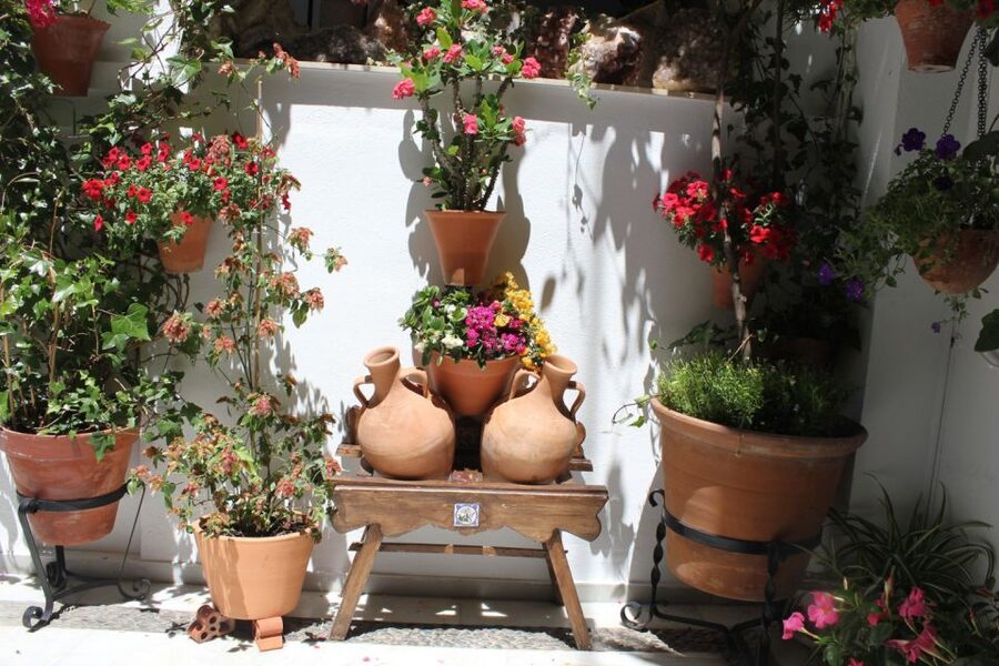 Cordoba Highlights Full-Day Tour from Granada - Inside the Mosque-Cathedral of Córdoba: gold mosaics and striped arches