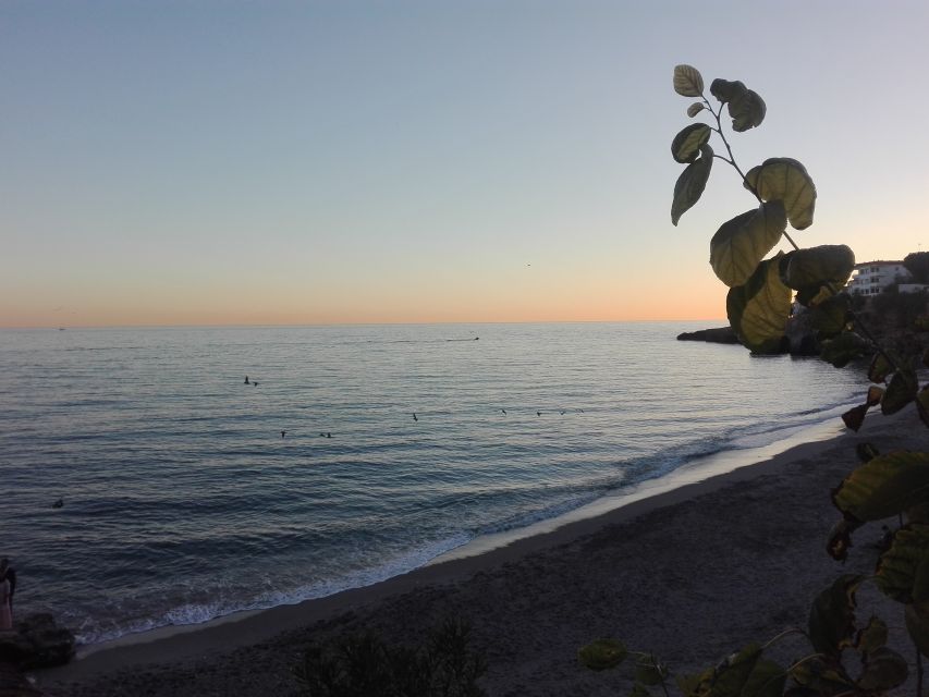 Day Tour to Frigiliana & Nerja from Granada - Key things to know before you go
