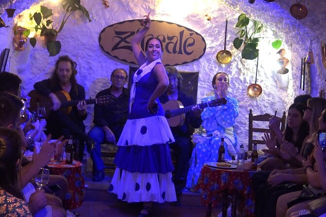Flamenco Show in Cueva Zincalé - Getting there with public transport nearby