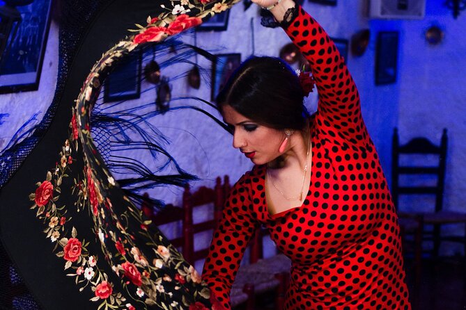 Flamenco Show in the Caves of Sacromonte - Cuevas Los Tarantos, the Entrance and the Cave Atmosphere
