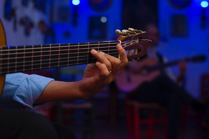 Flamenco Show in the Caves of Sacromonte - Acoustics and Intimacy: Why the Cave Matters