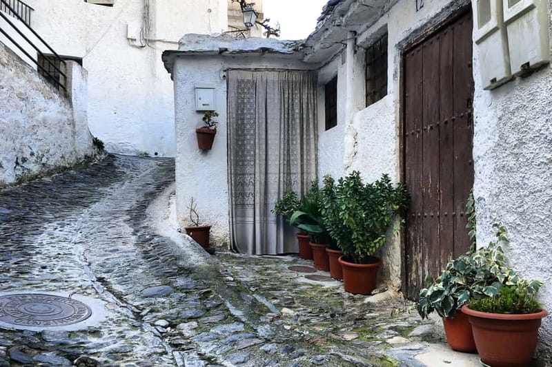 From Granada: Alpujarra Mountain Villages Tour - Lanjaron: mineral waters and a historic water stop