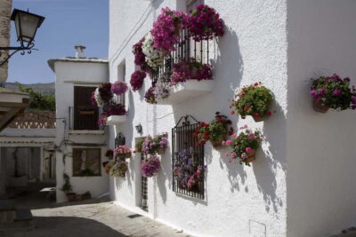 Alpujarra Mountain Villages Tour