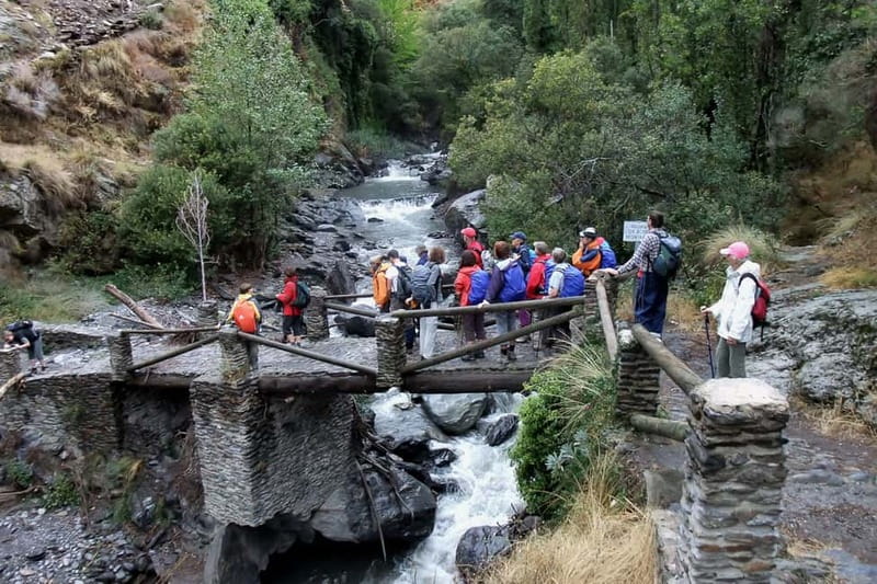 From Granada: Alpujarra Mountain Villages Tour - The food stops: ham tasting and optional lunch value