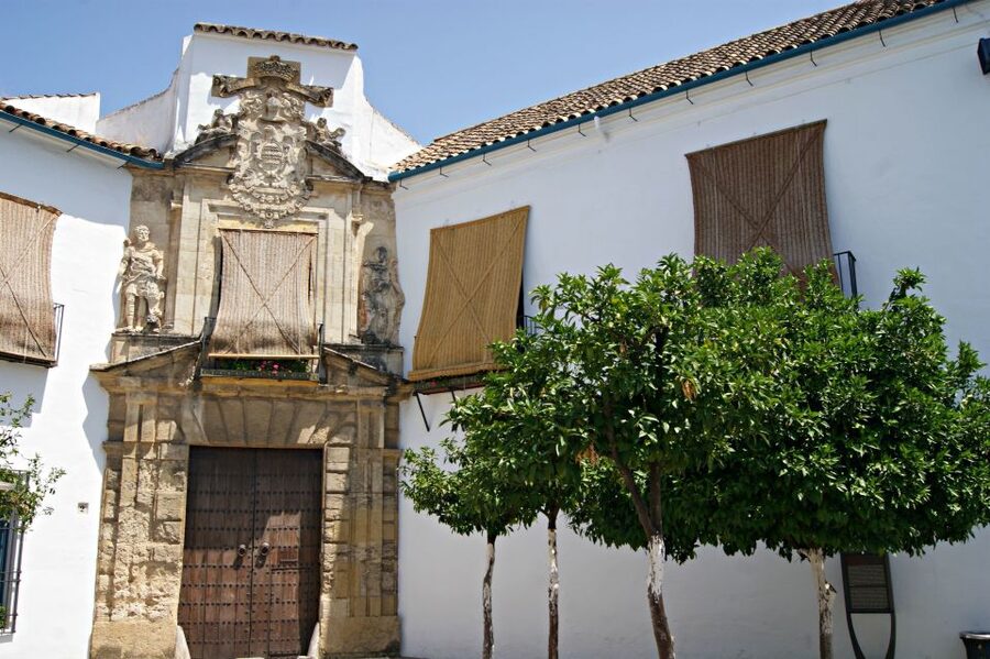 From Granada: Córdoba Day Trip with Mezquita Guided Tour - The Mezquita-Catedral Experience: What You Are Really Looking At