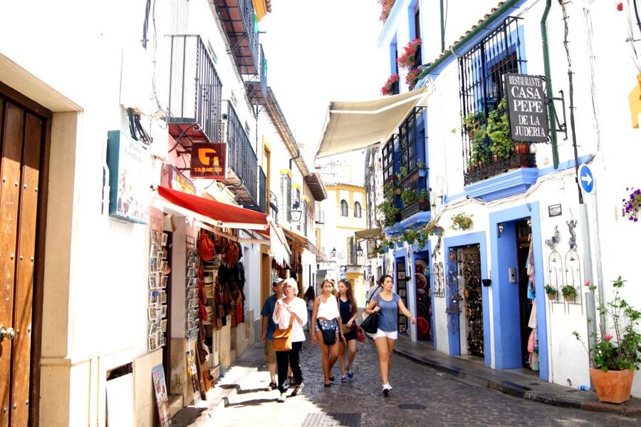 From Granada: Córdoba Day Trip with Mezquita Guided Tour - What You Learn From the Guides (Gonzalo and Anna)