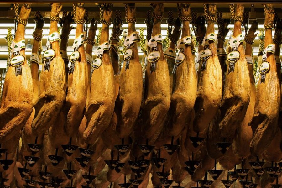 From Granada: Day Trip to Trevélez with Ham Factory - The Guides Make the Difference, Especially on a Route Like This