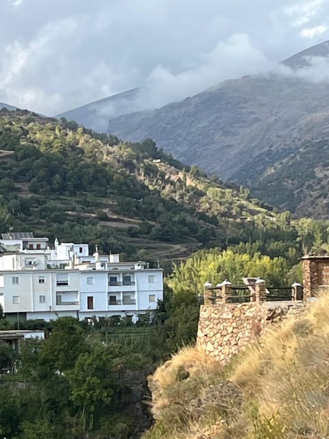 From Nerja/Almunecar: Sierra Nevada and Alpujarra day trip - Key highlights to know before you go