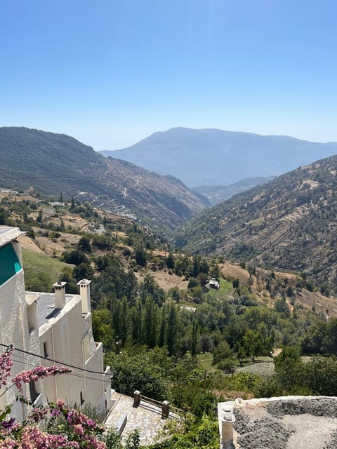 From Nerja/Almunecar: Sierra Nevada and Alpujarra day trip - Should you book it or skip it?