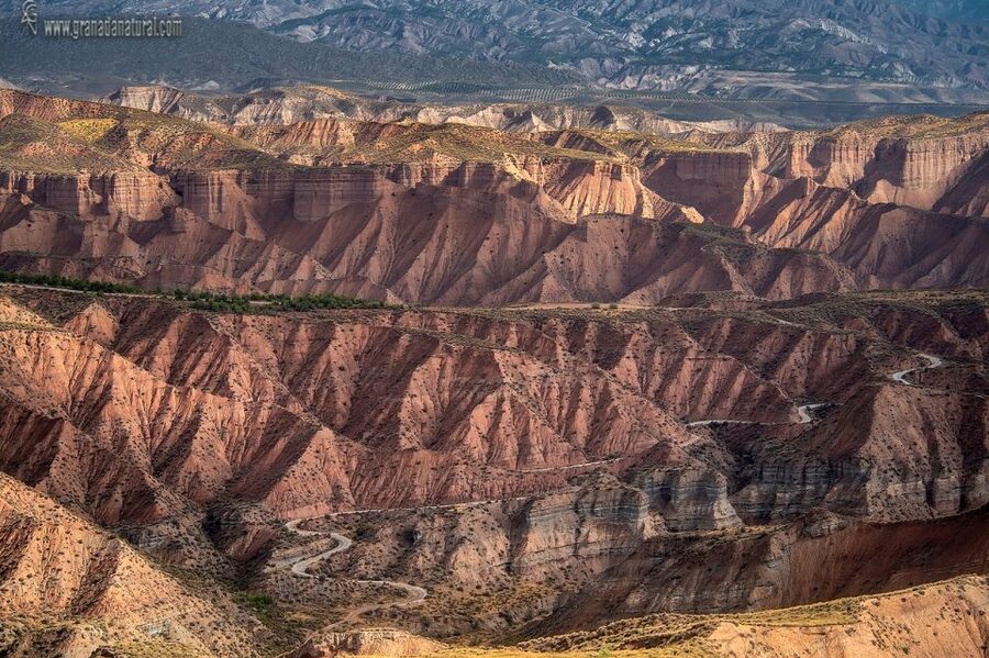 Gorafe: Los Coloraos Desert 4x4 Tour - Why Los Coloraos Badlands Feel Different From the Usual Andalusia Views