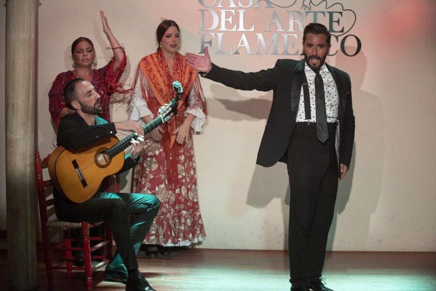 Granada: 1-Hour Traditional Flamenco Show - Key things to know before you go