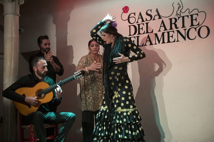 Granada: 1-Hour Traditional Flamenco Show - The performers: singer, guitarist, and dancers in one tight lineup