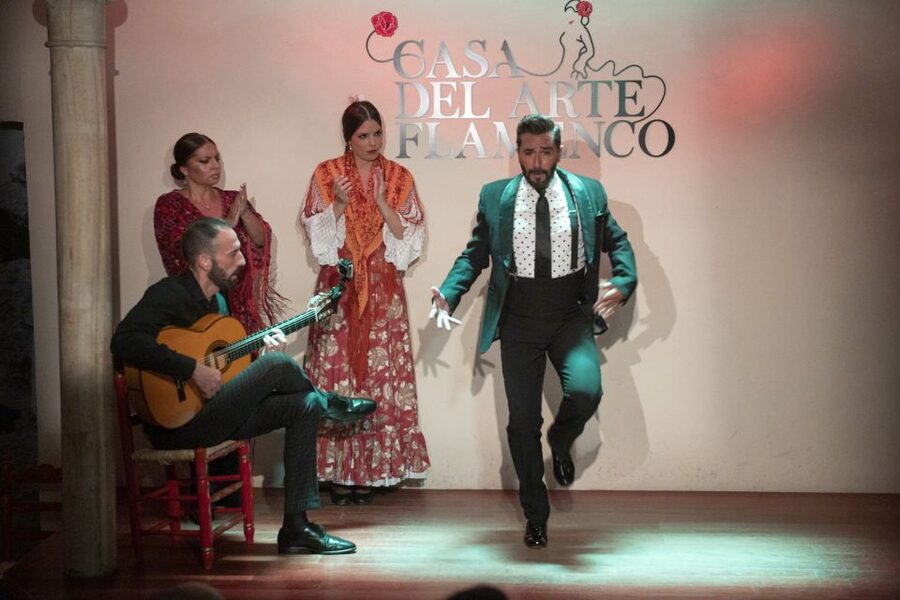 Granada: 1-Hour Traditional Flamenco Show - Price check: what $23 gets you in Granada