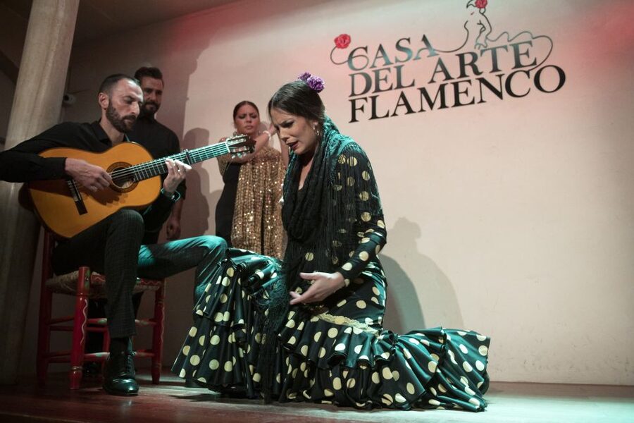 Granada: 1-Hour Traditional Flamenco Show - Should you book this 1-hour flamenco in Granada?