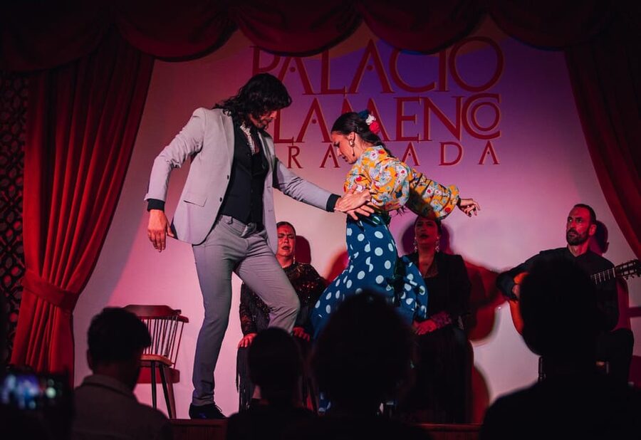 Granada: 1-Hour Traditional Flamenco Show at Palacio - Price and value at around $18 per person
