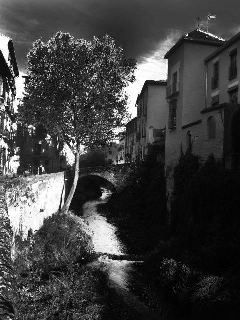 Granada Albaicín: 2.5-Hour Tapas & Drinks Walking Tour - Who should book this Albaicín tapas and drinks tour