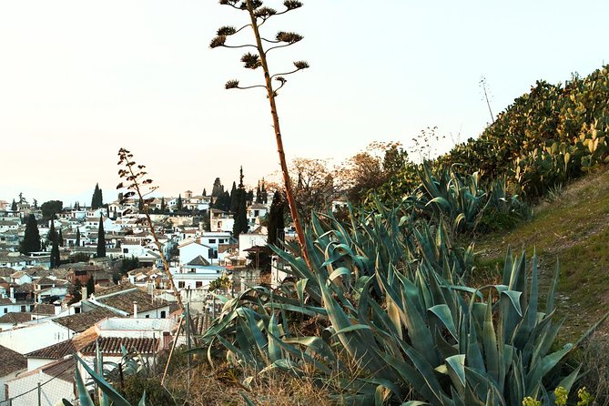 Granada: Albaicin and Sacromonte Private Tour - Mirador Mario Maya: flamenco’s signature viewpoint