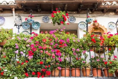 Albaicín and Sacromonte Walking Tour