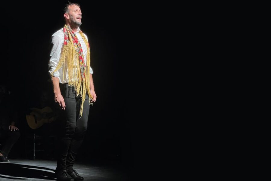 Granada: Albaicín & Sacromonte Walking Tour & Flamenco Show - The flamenco show in the city center: what to watch for