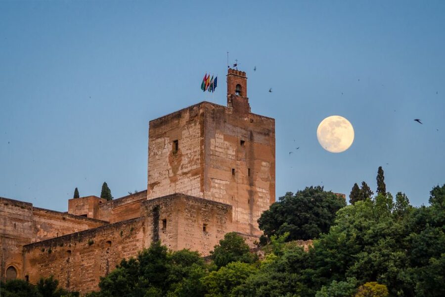 Granada: Alhambra and City Private Tour - Generalife Gardens: The Calm Before the Palaces