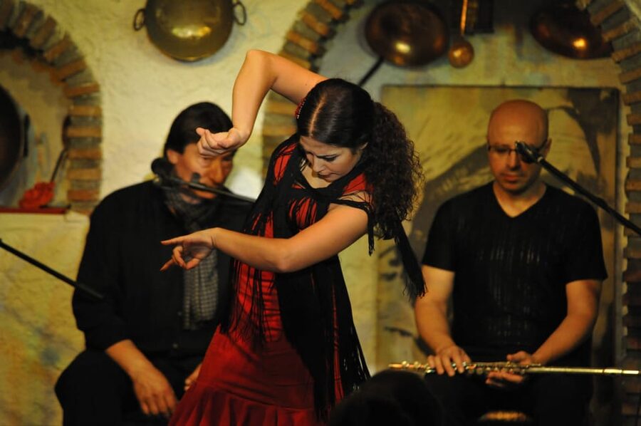 Granada: Alhambra Guided Tour and Flamenco Show - Alhambra skip-the-line: Nasrid Palaces you’ll want to see with a guide