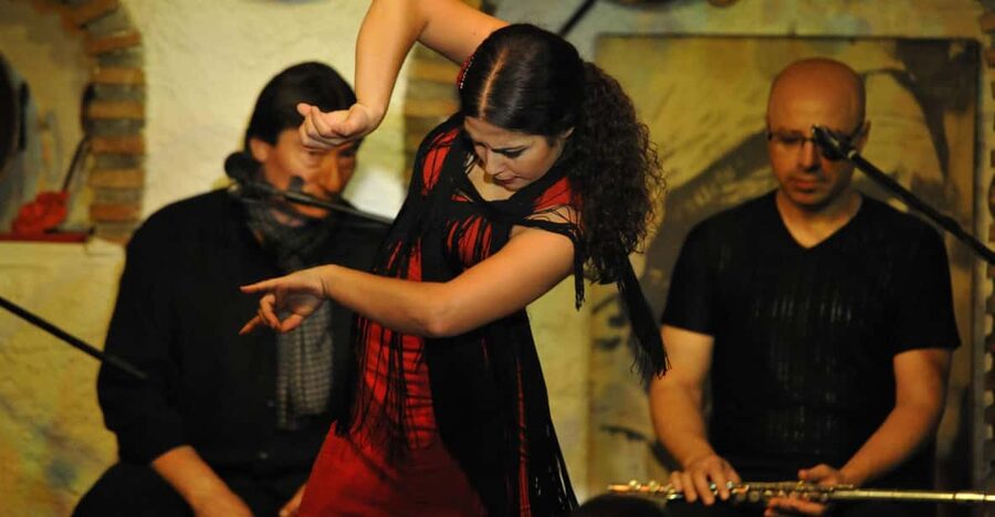 Granada: Alhambra Guided Tour and Flamenco Show - Who this tour suits best, and who should think twice