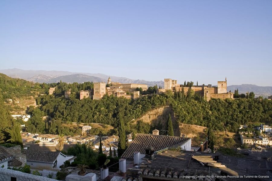 Granada: Alhambra Guided Tour and Flamenco Show - Price, timing, and what you really get for $127